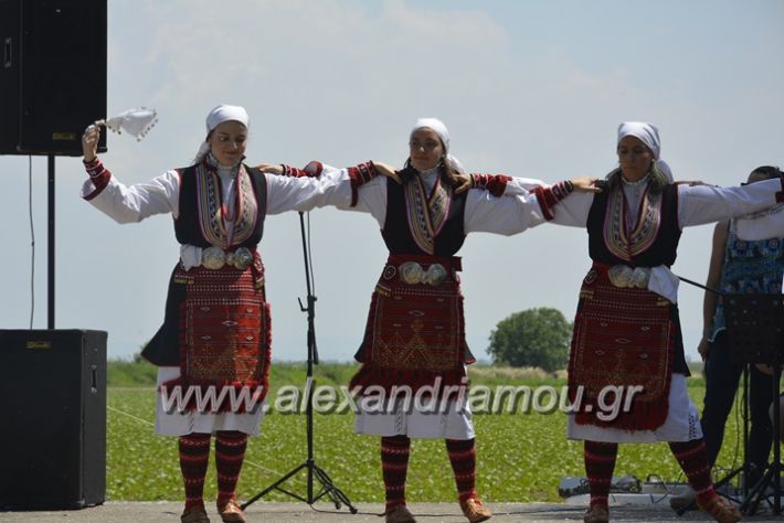 alexandriamou.gr_trikala28.5.2018103